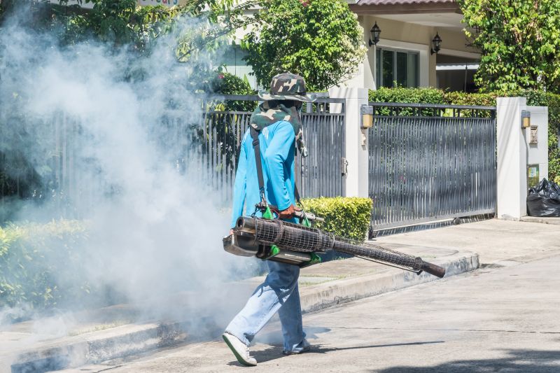Smoke Mitigation Service